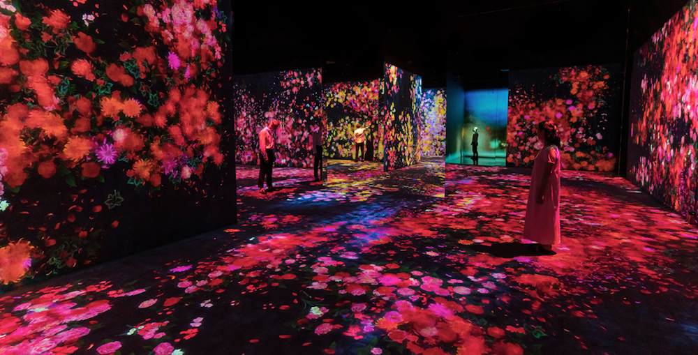All images: Installation views of teamLab: Continuity, 2021, Asian Art Museum of San Francisco. © teamLab, courtesy of Pace Gallery.